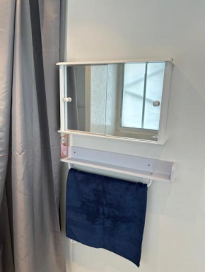 Mini studio flat